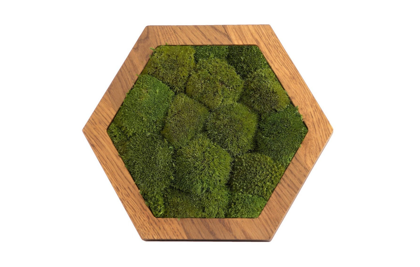 Hexagon Wandpaneele - Kugelmoos