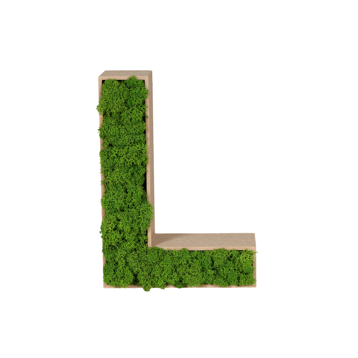 Lettres de mousse