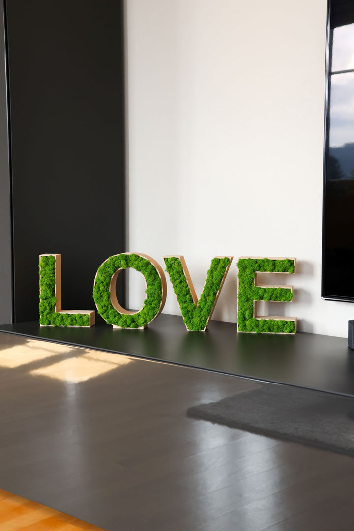 LOVE Moosbuchstaben in Wohnzimmer