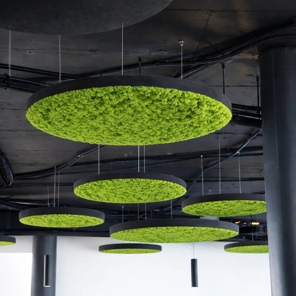 Deckensegel mit Islandmoos