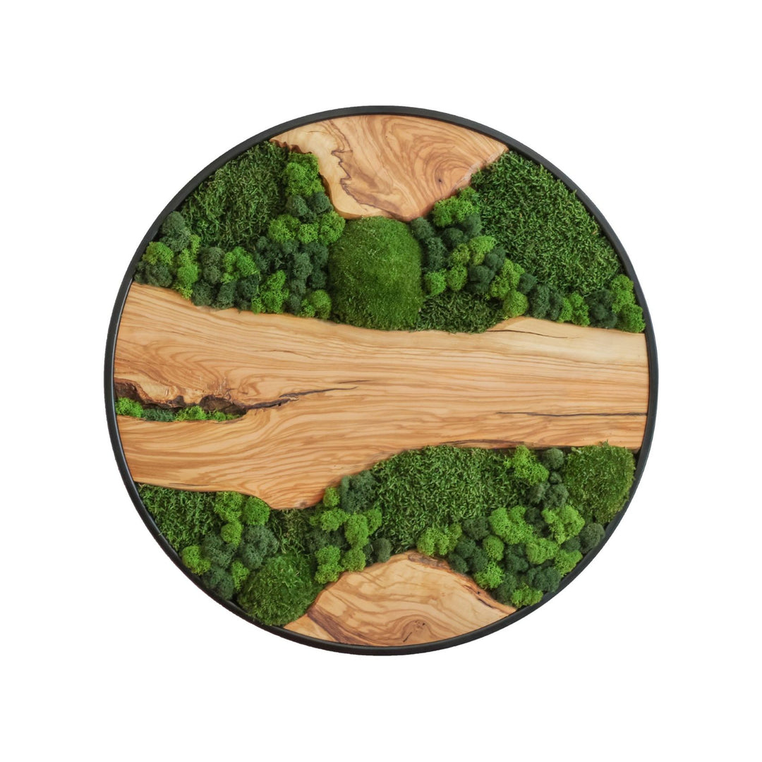 Natürliche Wanddekoration: Rundes Moosbild aus Olivenholz, stilvolles Interior-Element, langlebig. 60cm.