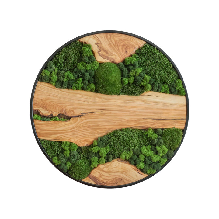 Natürliche Wanddekoration: Rundes Moosbild aus Olivenholz, stilvolles Interior-Element, langlebig. 60cm.