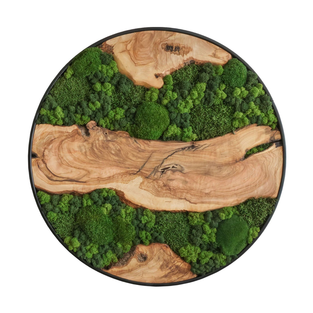 Rundes Moosbild Olivenholz, natürliche Wandgestaltung, Akustikelement und dekorativer Blickfang. 80cm.