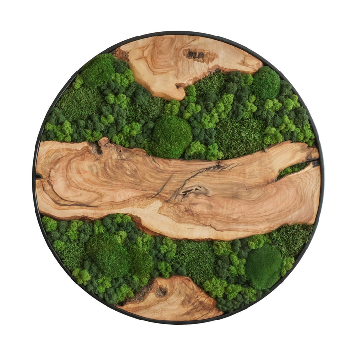 Rundes Moosbild Olivenholz, natürliche Wandgestaltung, Akustikelement und dekorativer Blickfang. 80cm.