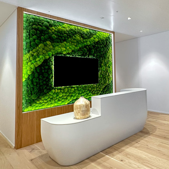 Mooswand Kugelmoos mit integriertem TV