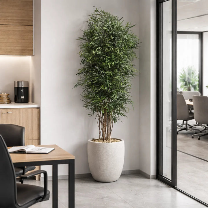 Nicoli schlank 180 cm in Pausenraum Office