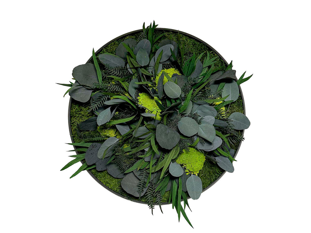 Pflanzenbild rund mit Moos 