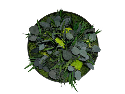 Immagine di pianta rotonda - giungla