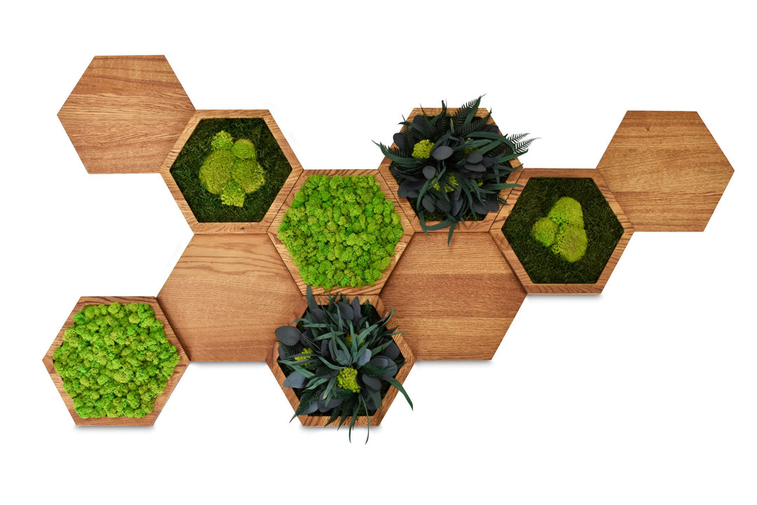 Hexagon Wandpaneele-Set mit Moos und Pflanzenblätter
