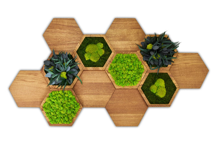 Hexagon Wandpaneele mit Moos und Pflanzenblättern auf Holz