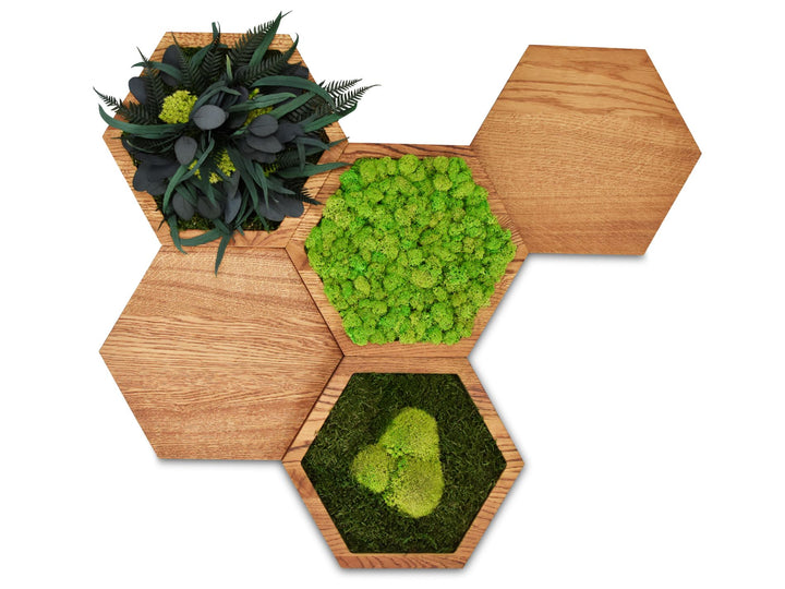 Hexagon-Wandpaneele mit Moos