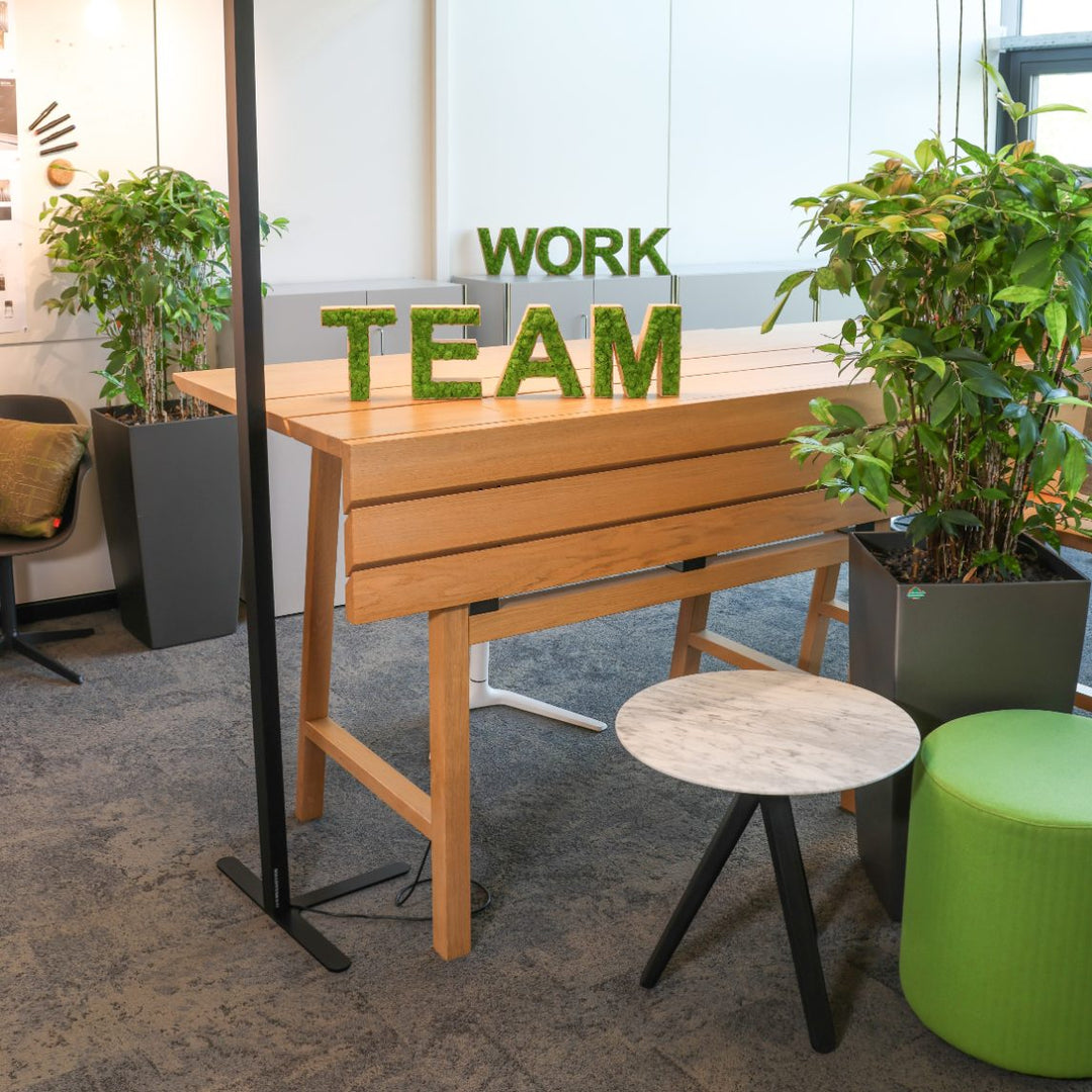 Moosbuchstaben TEAMWORK in Büro