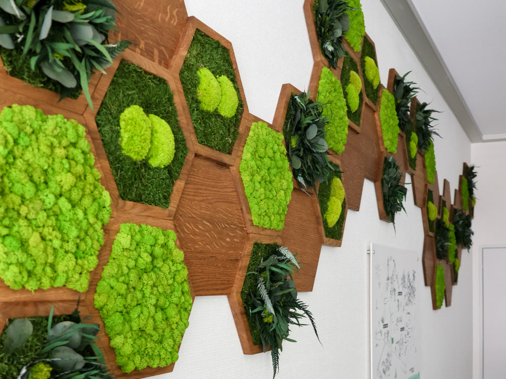 Hexagon-Wandpaneele in Pausenraum