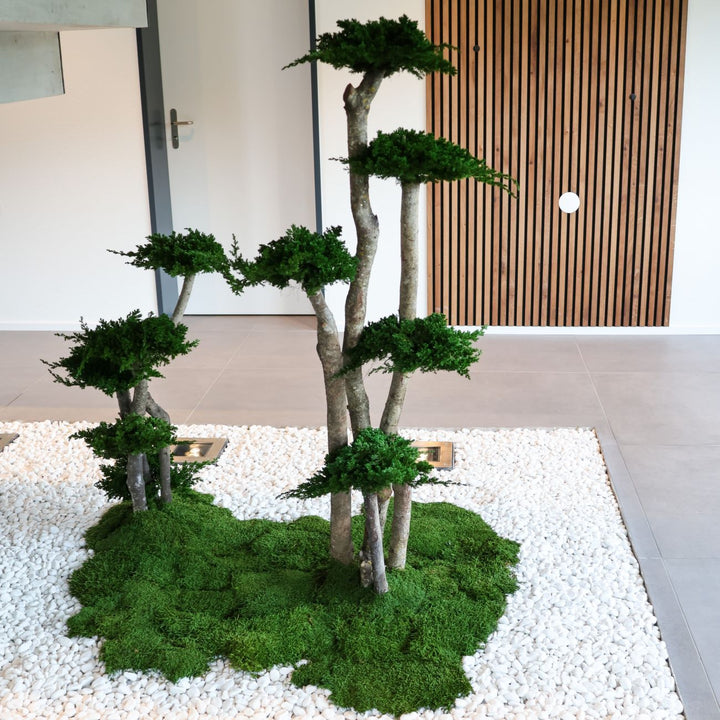 Bonsai-Landschaft 