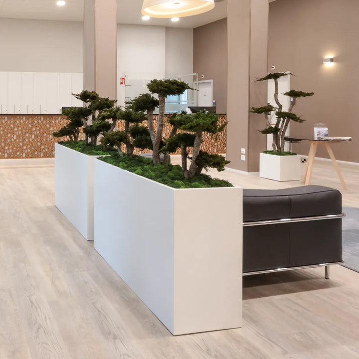Raumteiler mit Bonsai in Wartezimmer 2