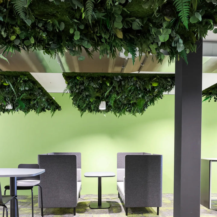 Dschungelmoos-Deckenpaneele in Aufenthaltsbereich