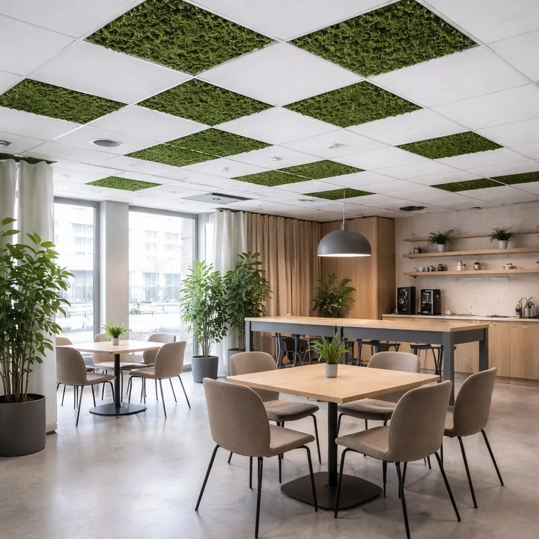 Deckenplatten aus Islandmoos in Cafeteria Co-Workingspace