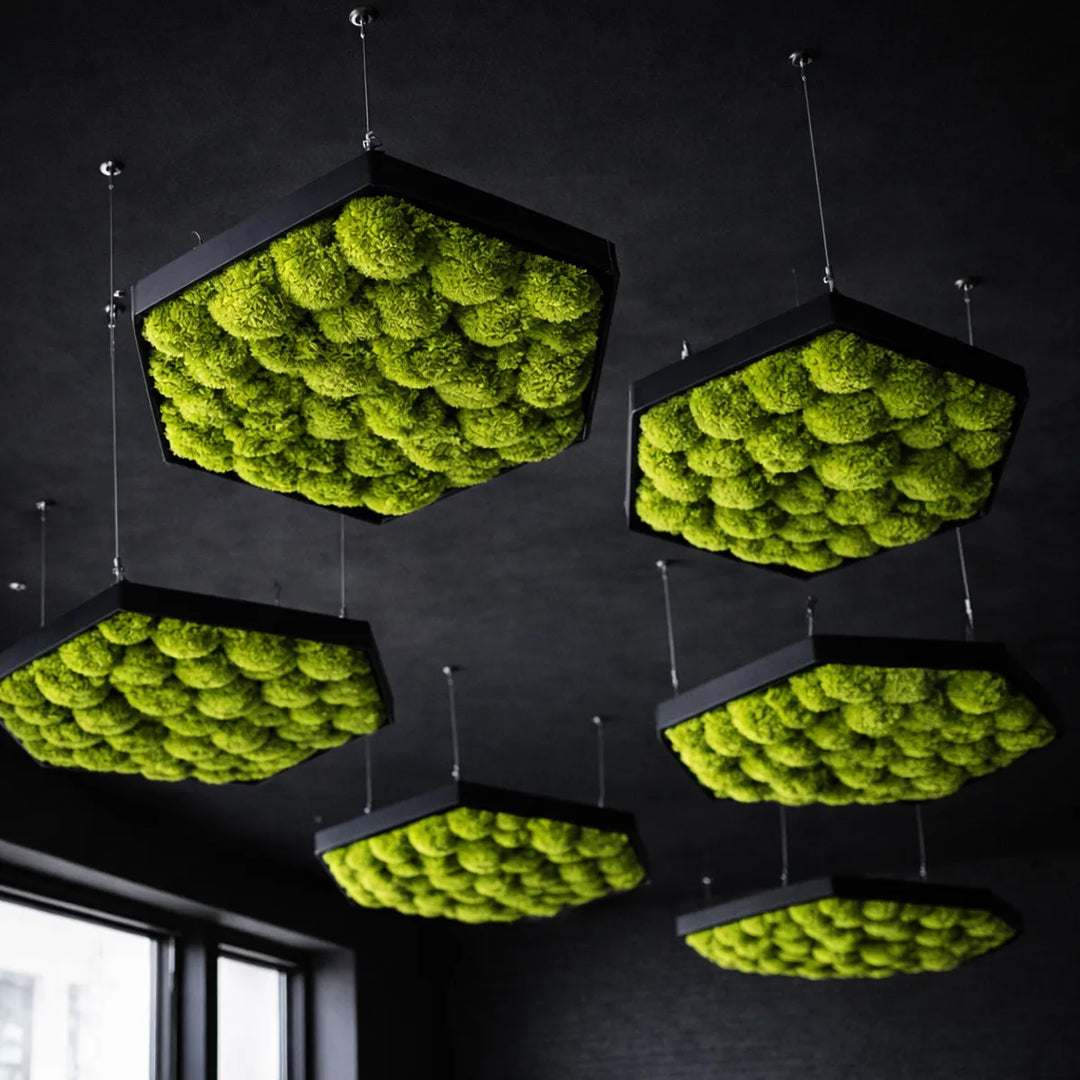 Deckensegel Hexagon mit Kugelmoos