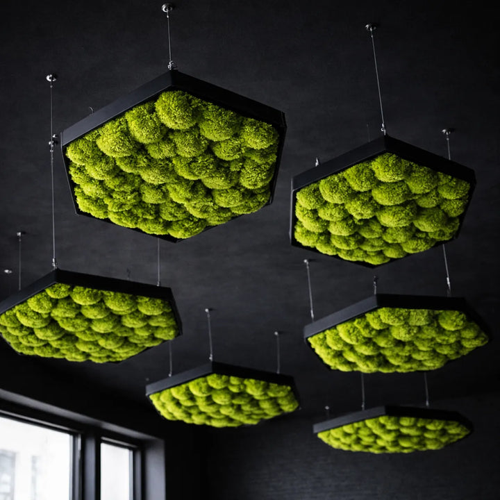 Deckensegel Hexagon mit Kugelmoos