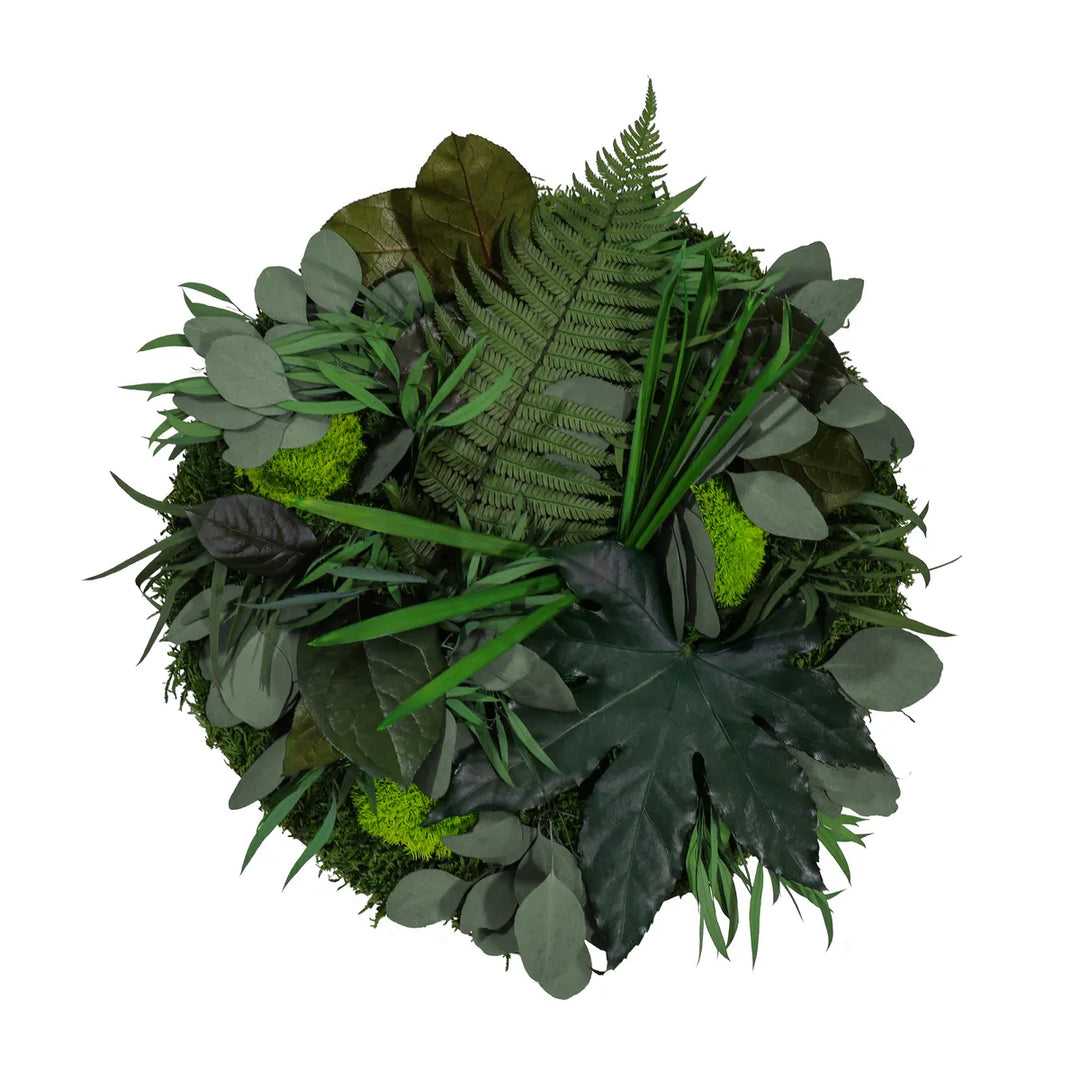 Pflanzenbild Dschungel 40 cm