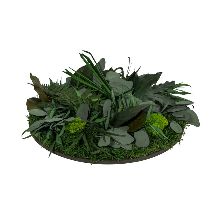 Pflanzenbild Dschungel 40 cm Seitenansicht