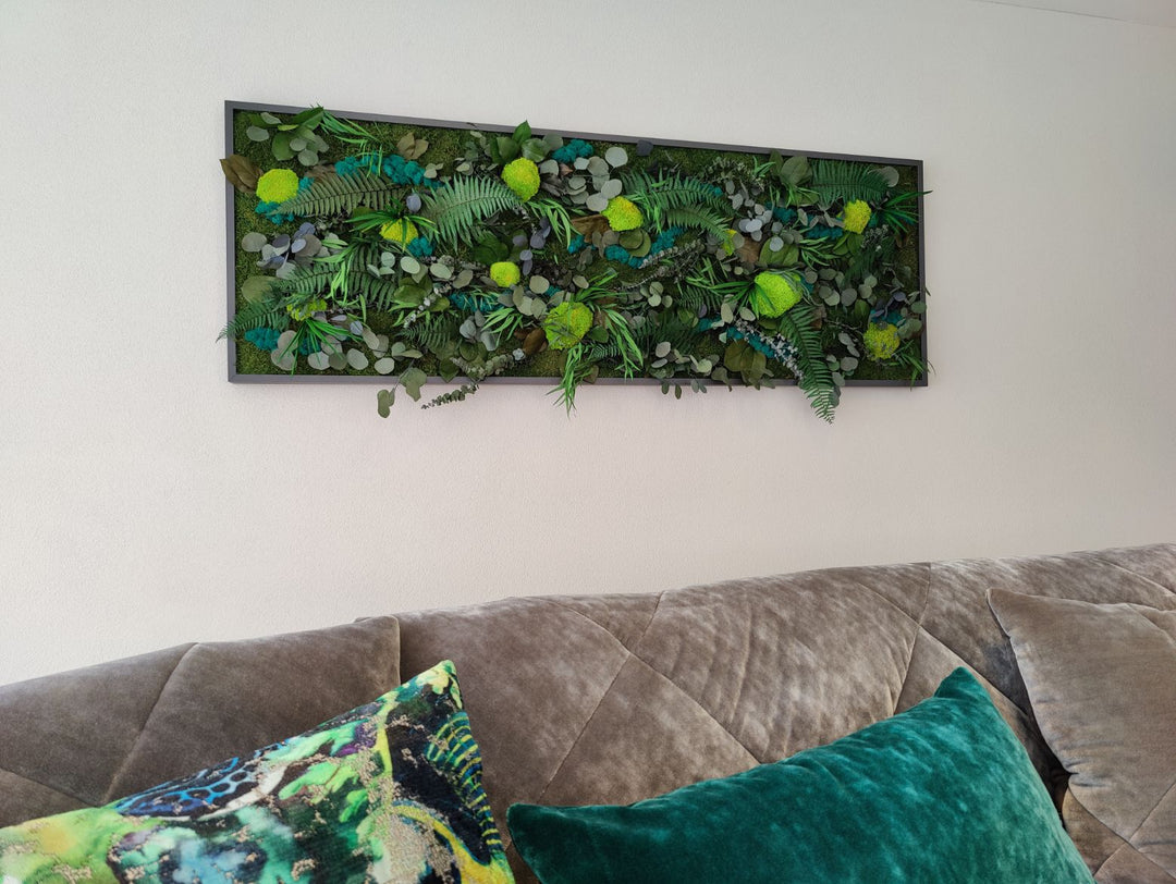 Wald-Kugelmoosbild mit exotischen Pflanzenblätter