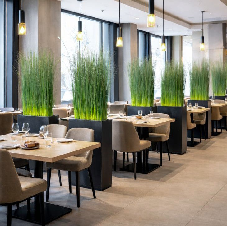 GInerium Grasbusch Raumteiler in Restaurant