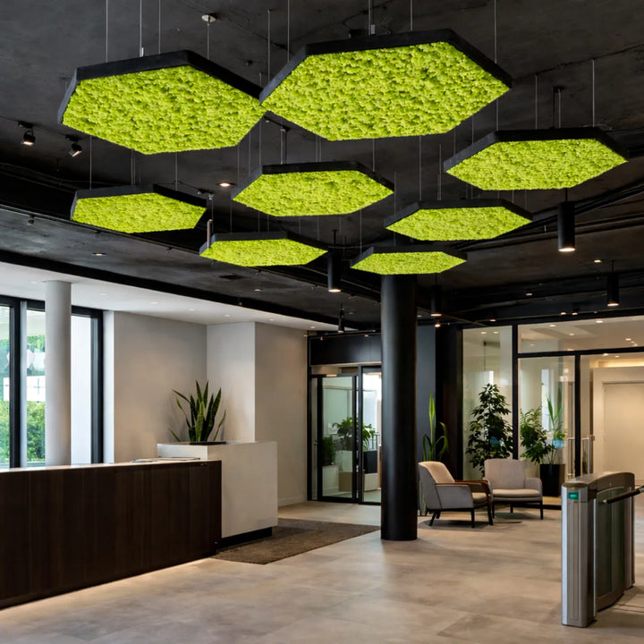 Hexagon-Deckensegel mit Islandmoos in Eingangsbereich Firma