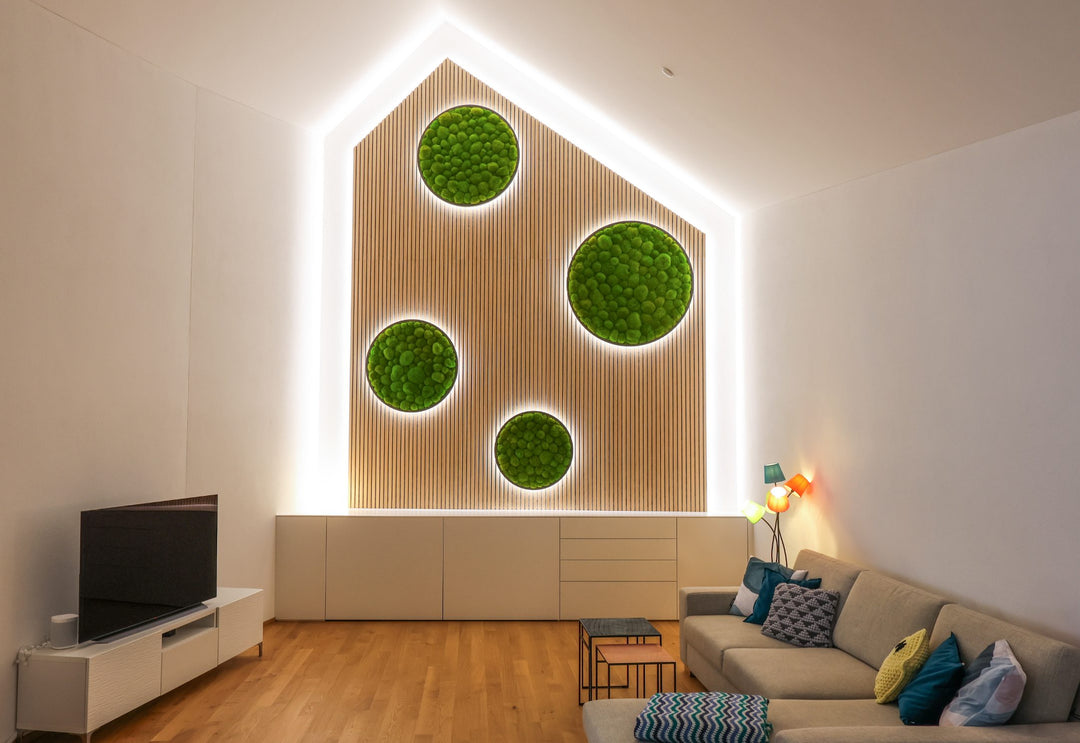 Runde Kugelmoosbilder mit LED in Wohnzimmeer