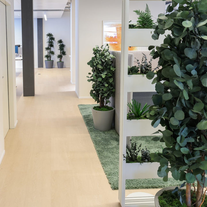 Populus schlank in Grossraumbüro 