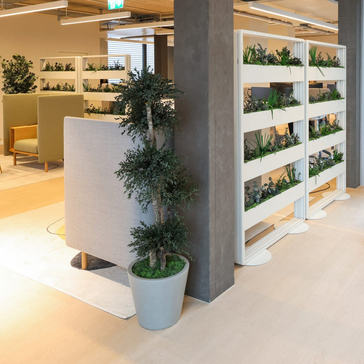 Raumteiler mit Bepflanzung