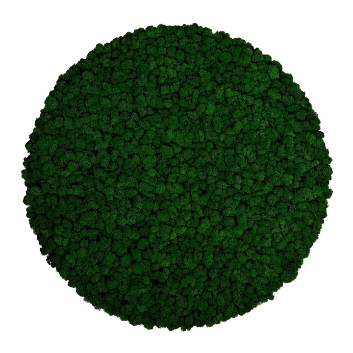 Islandmoosbild Waldgrün 70 cm