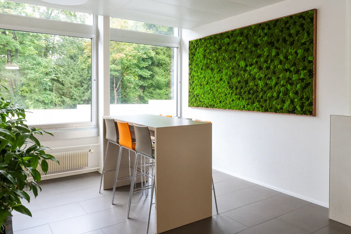 Islandmoosbild in Cafeteria