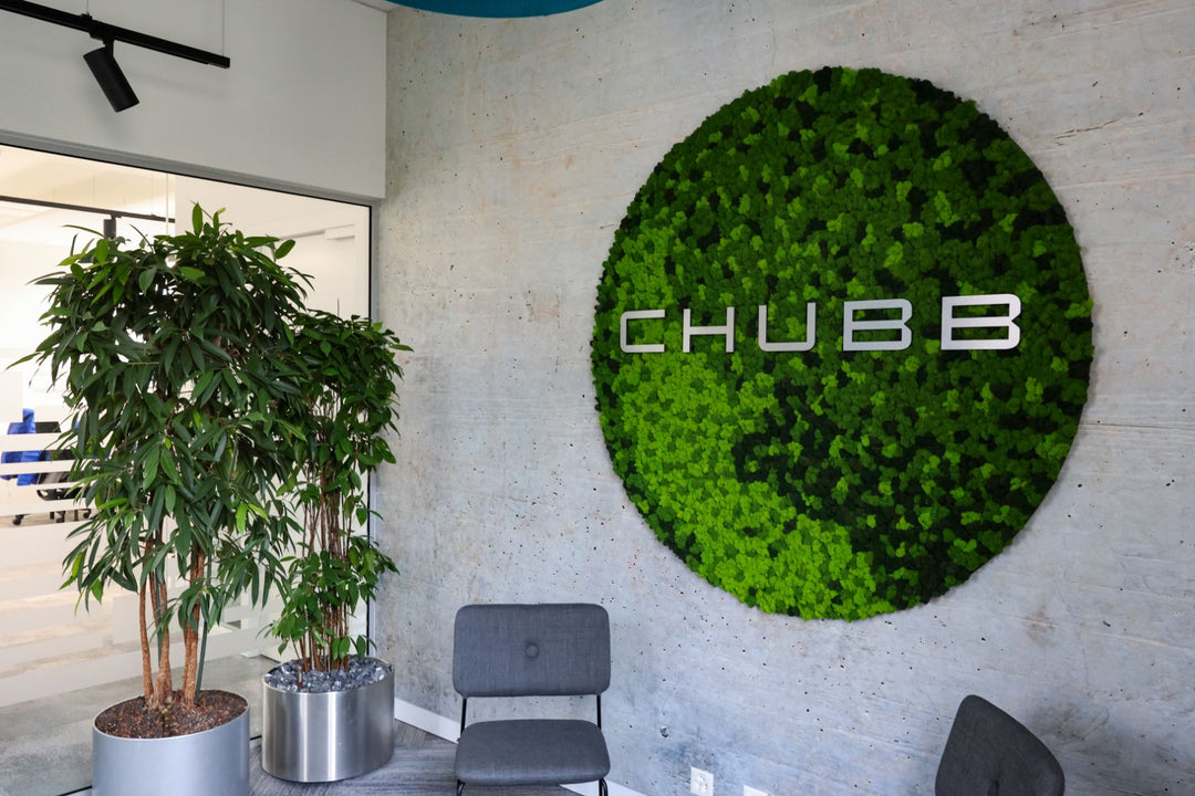 Islandmoosbild in verschiedenen Farbtönen und Firmenlogo 