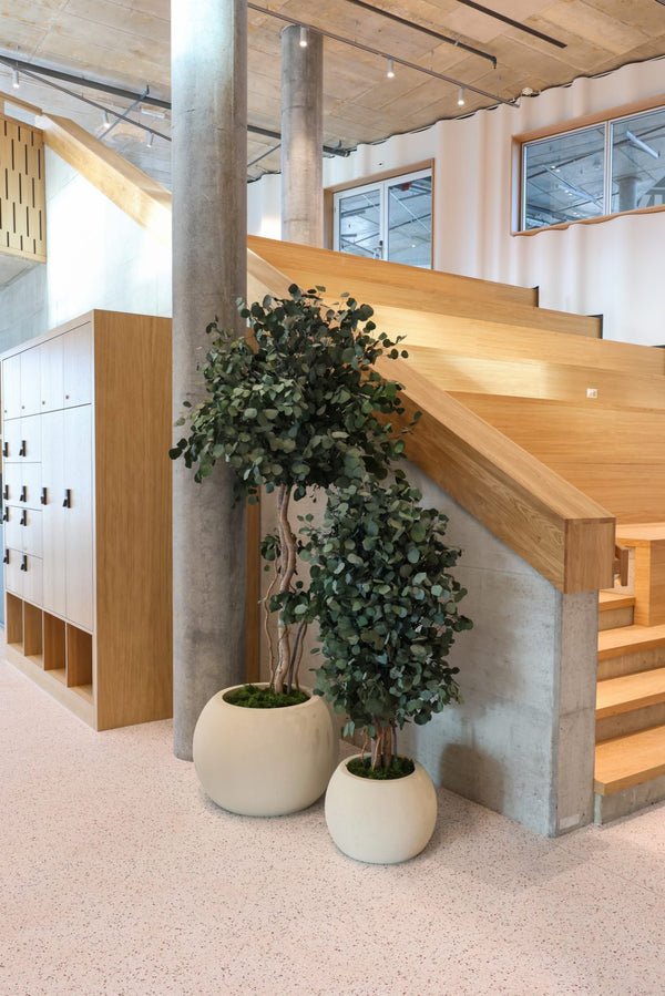 <strong>Konservierte Pflanzen</strong>