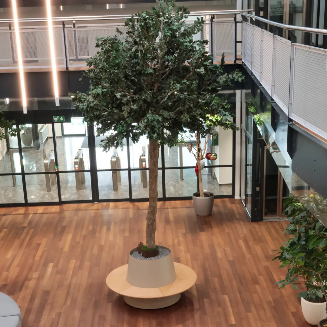 Konservierter Eichenbaum in Atrium 2