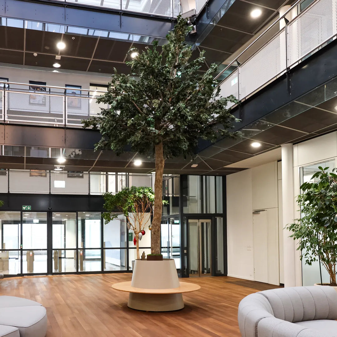 Konservierter Eichenbaum in Atrium