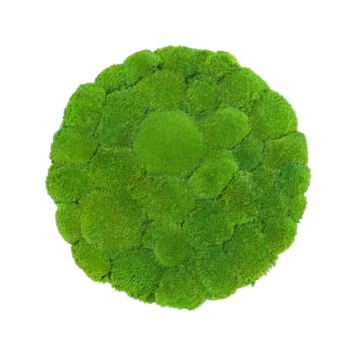 Kugelmoosbild in Apfelgrün 40 cm