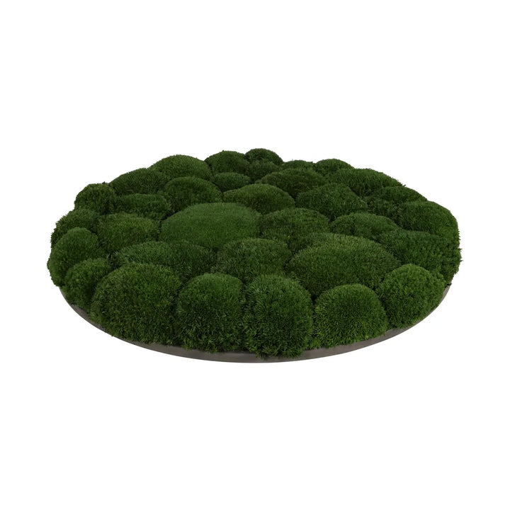 Kugelmoosbild in Waldgrün 40 cm Seite