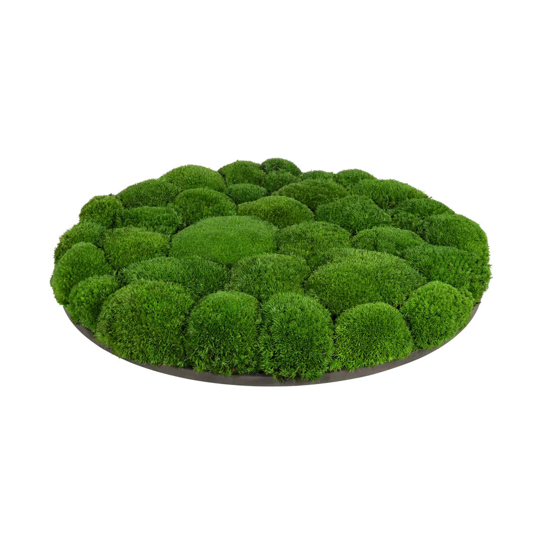 Kugelmoosbild in Wiesengrün 40 cm Seite