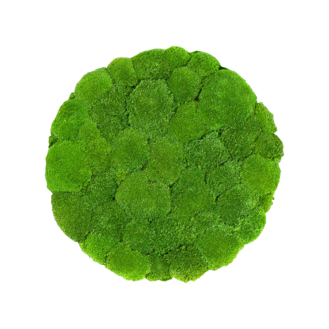 Kugelmoosbild in Apfelgrün 50 cm