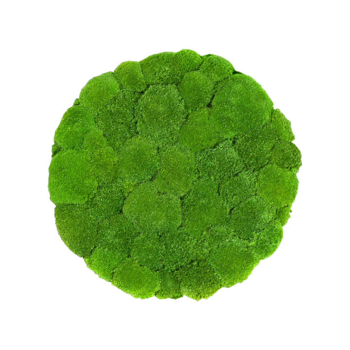 Kugelmoosbild in Apfelgrün 50 cm