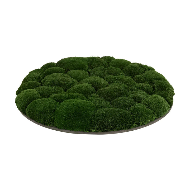 Kugelmoosbild in Waldgrün 50 cm Seite