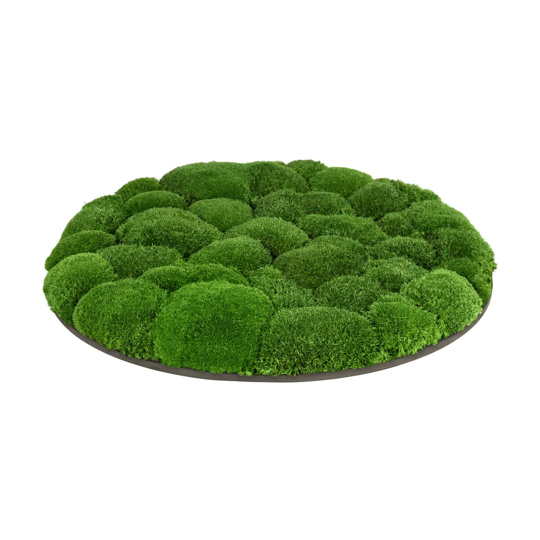Kugelmoosbild in Wiesengrün 50 cm Seite