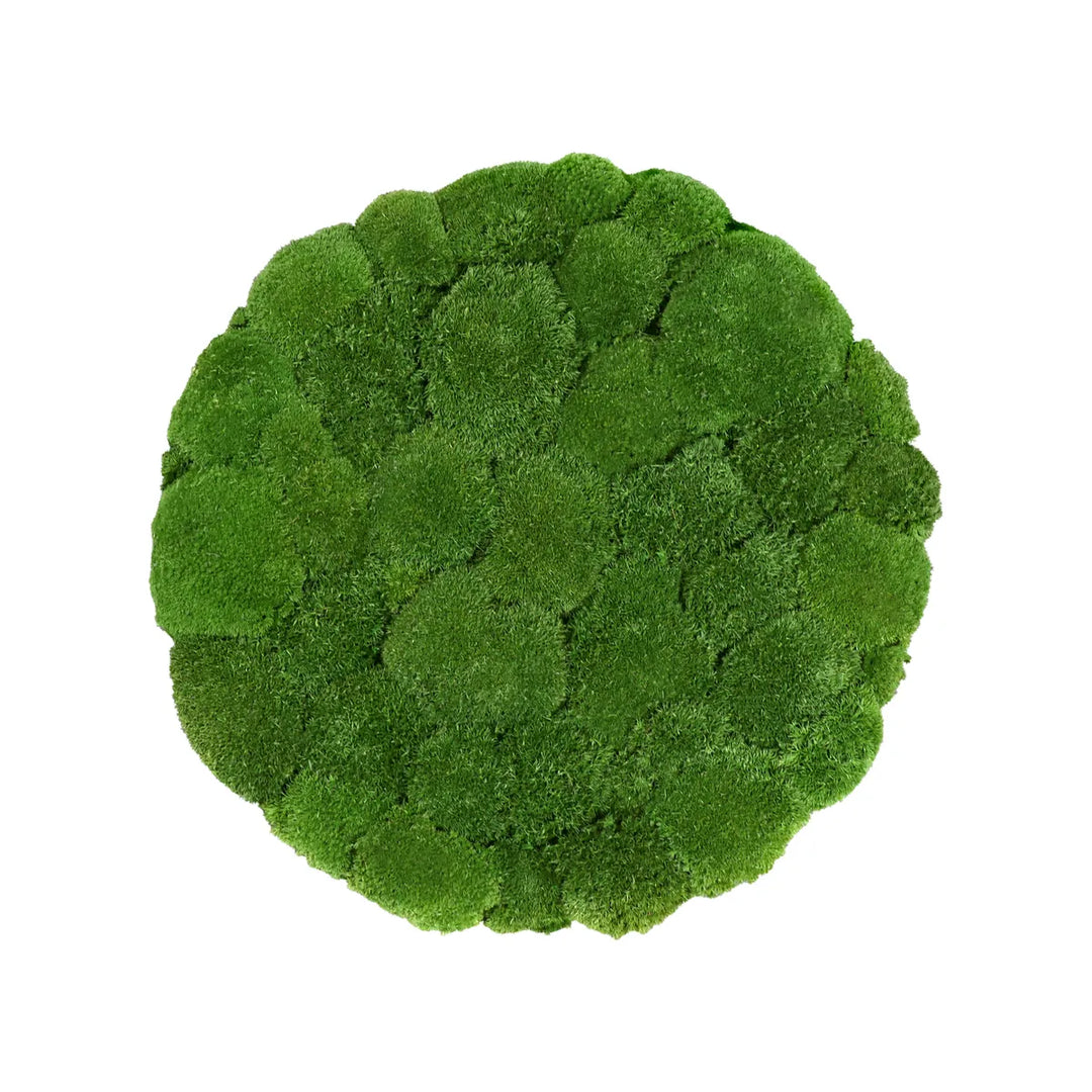 Kugelmoosbild in Wiesengrün 50 cm