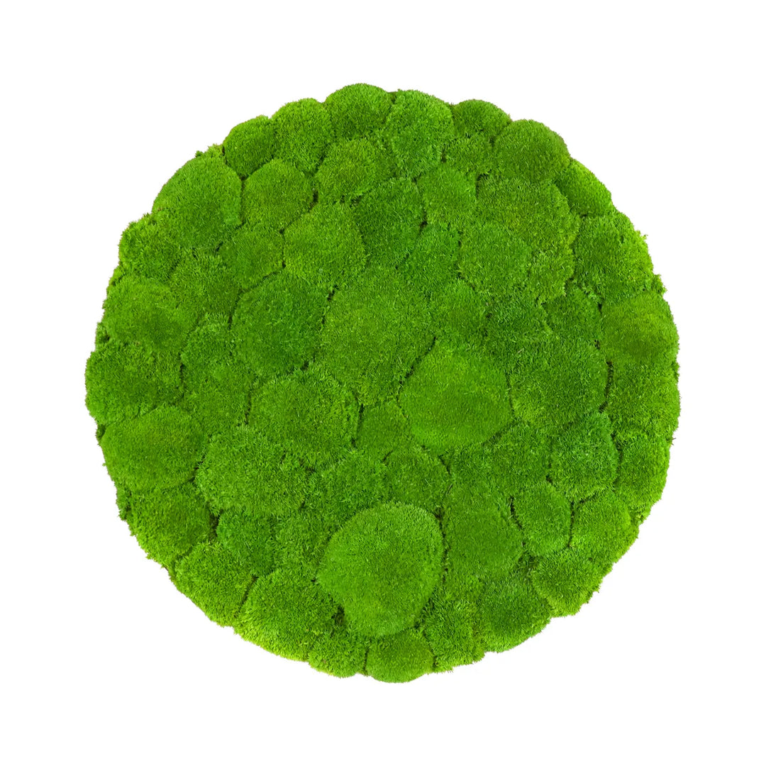 Kugelmoosbild in Apfelgrün 60 cm