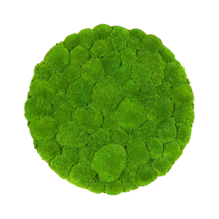 Kugelmoosbild in Apfelgrün 60 cm