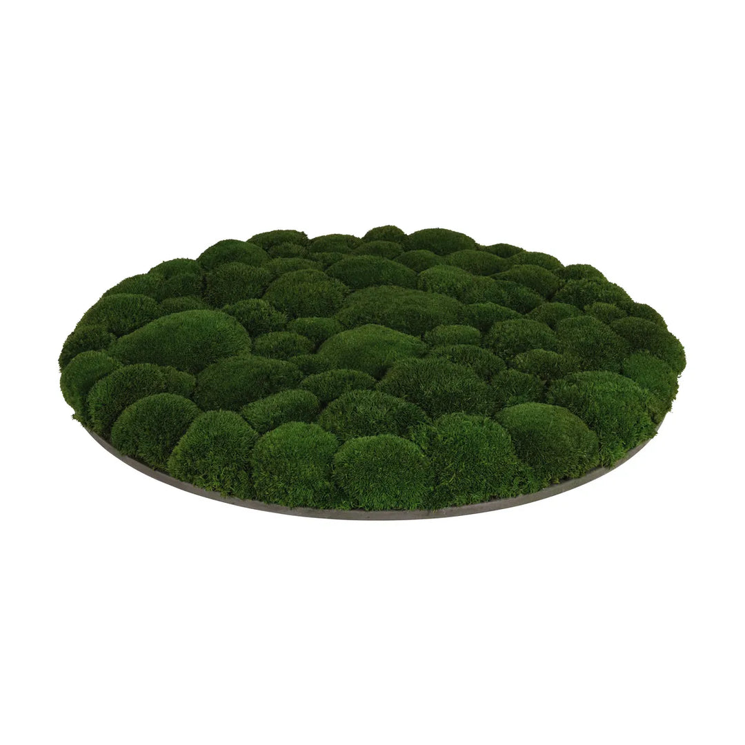 Kugelmoosbild in Waldgrün 60 cm Seite 