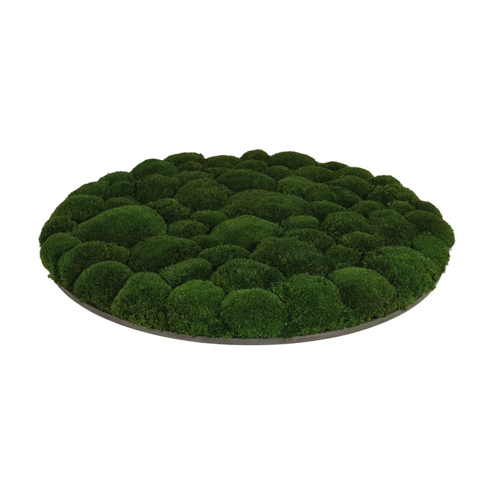 Kugelmoosbild in Waldgrün 60 cm Seite 