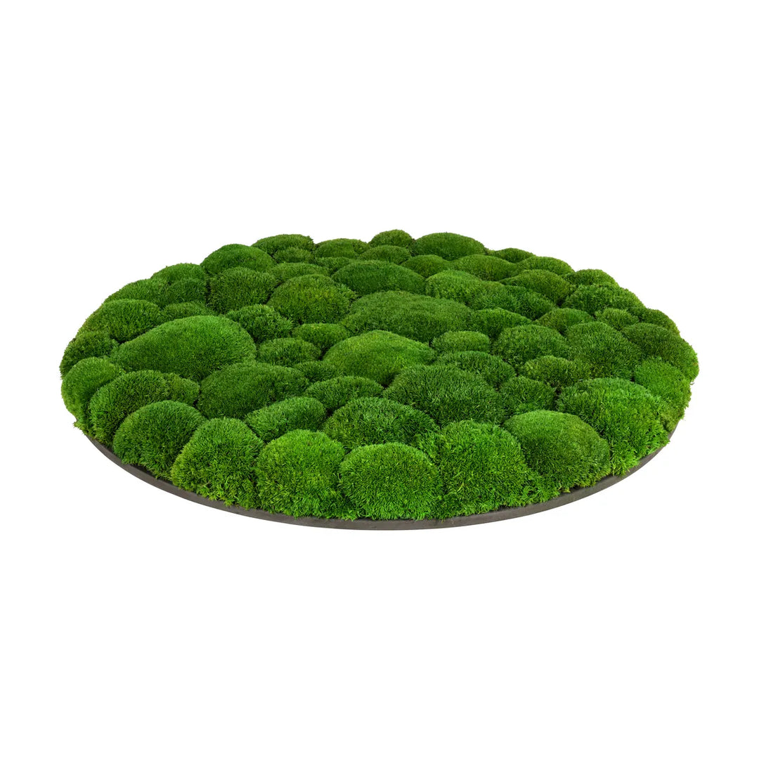 Kugelmoosbild in Wiesengrün 60 cm Seite